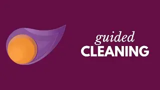 Guided Cleaning