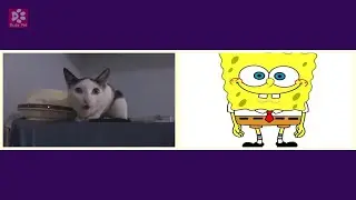 Cats Meowing SPONGEBOB SQUAREPANTS (Acapella)