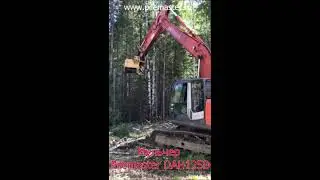 Работа мульчера Pilemaster DAH125 с деревьяви до 350 мм