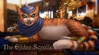 POV you meet a Khajiit Alfiq | Elder Scrolls Animation