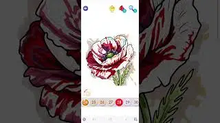 Beautiful Flower | Color Swipe