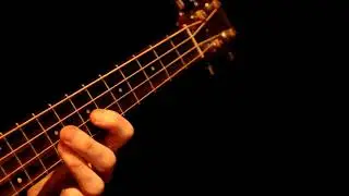 I Got Friends - Sandy Davis (bass cover)