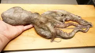 夏が旬で美味しいタコの捌き方に「天ぷら」と「磯辺揚げ」の作り方　　Octopus tempura