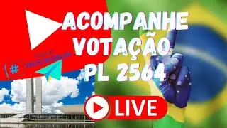 Votação Do PL 2564 Agora Ao Vivo