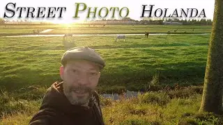 Fotografiando HOLANDA 2024 (Ep3) -La Granja y Los patos Gorrones-