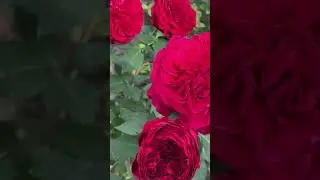 12 февраля 2023 г.