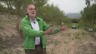 VIII Jornadas de Algarrobo productores