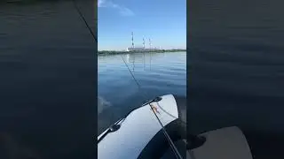 30 июня 2024 г.