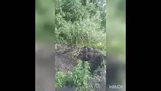 прилеты на Салтовке вдоль речки.