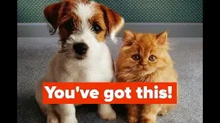 Cute Animals || Heart Touching video || Love & Fun Overloaded