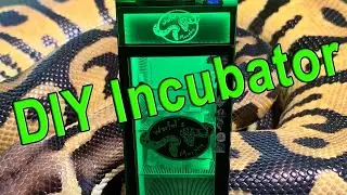 How to Build Your Own INCUBATOR!! (Ball Python Breeding)