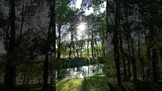 8 сентября 2024 г.