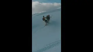Lynx Tribe Deep Snow