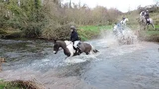 Tipperary Foxhound's Meet in Fethard  Jan 2019
