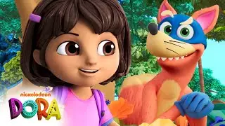 Swiper No Swiping!! ✋ Dora & Swiper's Best Moments! | Dora & Friends