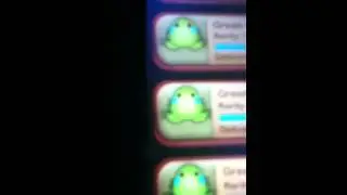 Pocket frogs glitches
