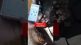 Рівні радіації в зоні відчуження