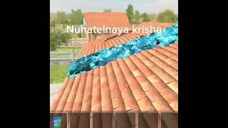 Nuhatelnaya krisha