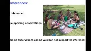 TAHN Observations and Inferences 2021