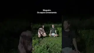 os sapos conversando