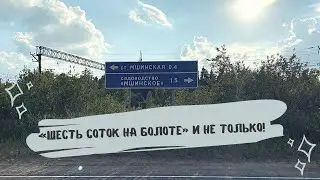 МШИНСКАЯ. 