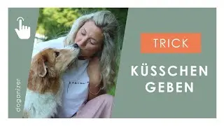 Hunde Trick beibringen | Küsschen geben | schnell und einfach