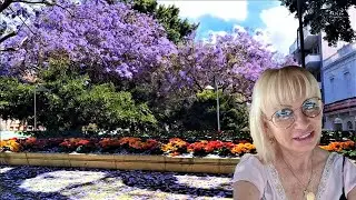 Канарские острова|Санта Крус-город вечной весны/Canary Islands|Santa Cruz-the City of Eternal Spring