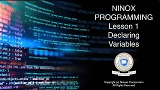 101 Programming Ninox - Declaring Variables