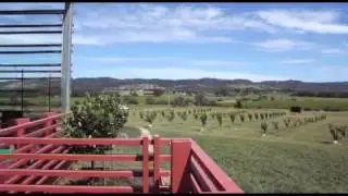 For cherries
