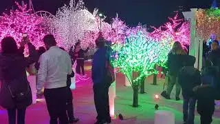 Vancouver winter market 2018