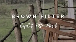 Brown Filter Tutorial | CapCut Filter Preset