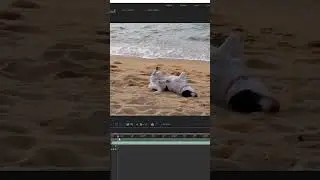 How to remove moving objects in After Effects 