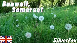 Banwell, Hill Walk - An Ordinary English Village in Somerset 🇬🇧 