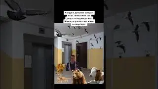 мем животные