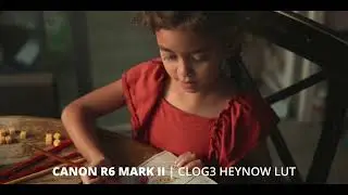 Canon R6 Mark II CLOG3 HEYNOW LUT (Cinema Look)