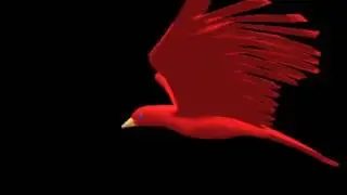 Bird Flling in Black Background ,Litting wedding Background, Video Background HD 4K  1080P 12352