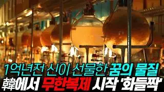 일본 “우린 그거 수만번 실패했어” 한국에서 무한증식 시작한 1억년 전 식물 '어안이 벙벙'_DNA 비밀 풀어낸 한국인 과학자 / 디씨멘터리