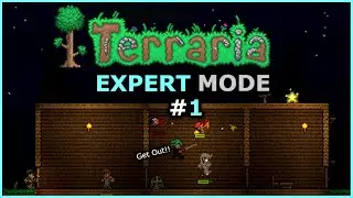 My First Night in Expert Mode Terraria Will SHOCK You