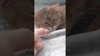 microcrochet with my cat 🐈🧵