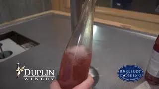 Duplin Winery   Roots
