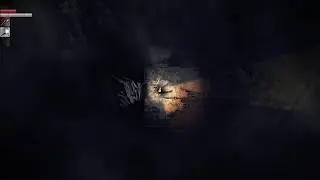 Darkwood Gameplay 3/26/20