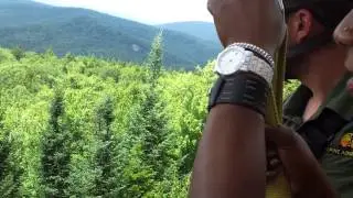 Sabrina zipline