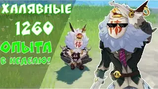 СТРАННЫЙ ХИЛИЧУРЛ - Genshin Impact