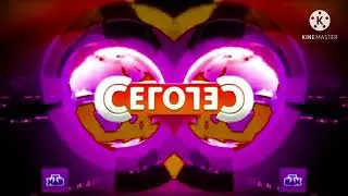 ntv сегодня 2015 indnt  in effects 1