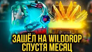 ЗАШЁЛ НА WILDDROP СПУСТЯ МЕСЯЦ! ВЫБИЛ НОЖ? ПРОМОКОД +40% CPT40