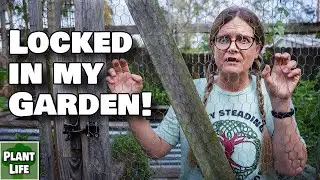 Locked in the Garden