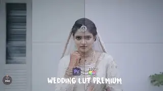 Premium Wedding LUT 2021 | Fcpx & Premiere pro | Download Now | Learn 2 Pro