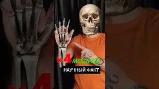 How to STRENGTHEN your fist by 4 times 