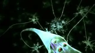 Neurotransmitter Synapse 3D Animation