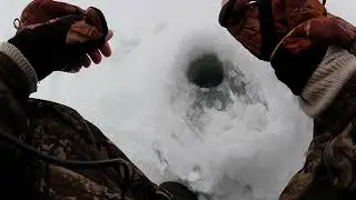 Рыбалка на домашнем водоеме! Разведка нового пруда! Ловля на игру!